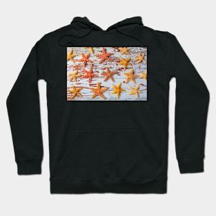 Starfish On Weathered Board Hoodie